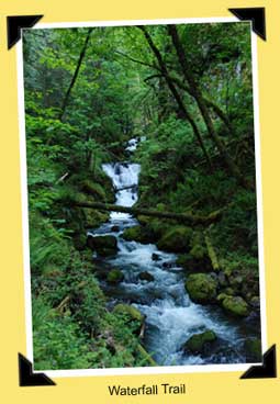 waterfall trail