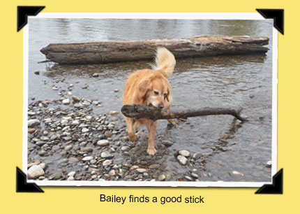 No stick too big.