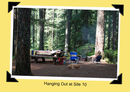 Ollallie Campground, site 10