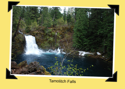 Tamolitch Falls