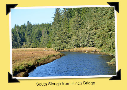 south slough