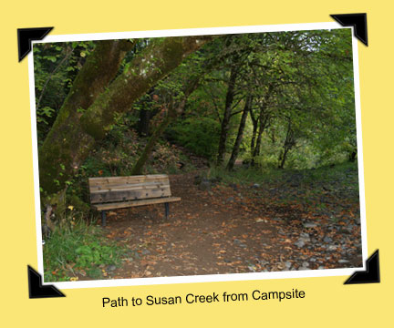 Path to creek