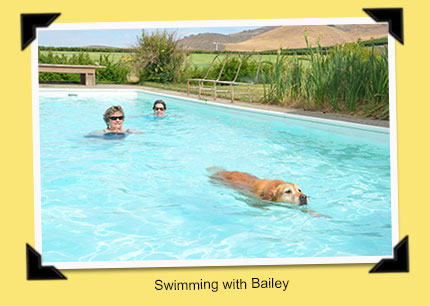 swimming with Bailey